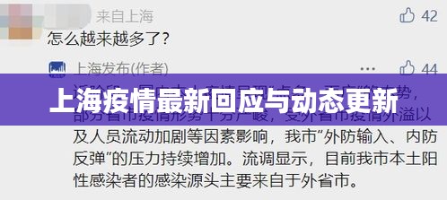 上海疫情最新回应与动态更新