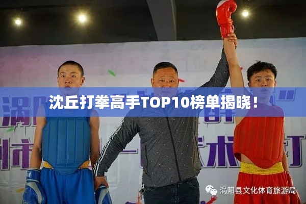 沈丘打拳高手TOP10榜单揭晓！