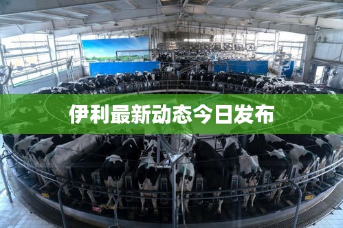 伊利最新动态今日发布