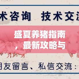 盛夏养猪指南，最新攻略与技巧