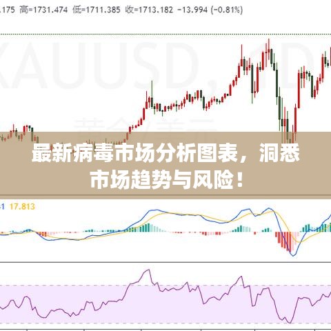 最新病毒市场分析图表，洞悉市场趋势与风险！