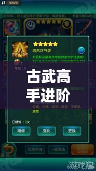 古武高手进阶秘籍，独家心得与最新秘籍分享
