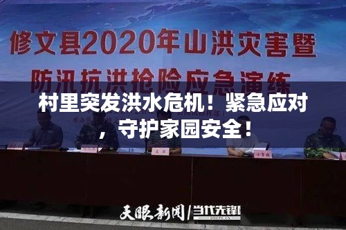 村里突发洪水危机！紧急应对，守护家园安全！