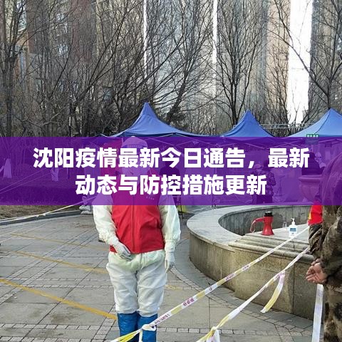 沈阳疫情最新今日通告，最新动态与防控措施更新