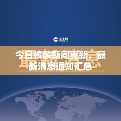 今日核酸新闻更新，最新消息通知汇总