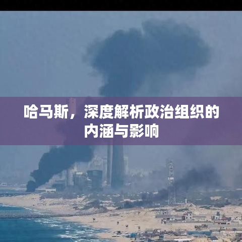 哈马斯，深度解析政治组织的内涵与影响