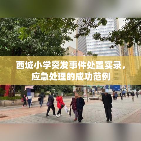 西城小学突发事件处置实录，应急处理的成功范例