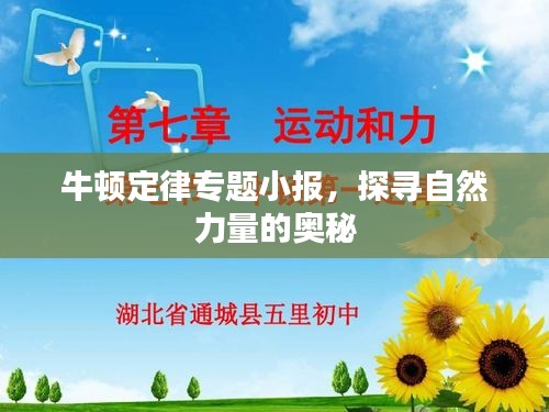 牛顿定律专题小报，探寻自然力量的奥秘