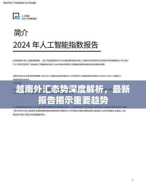 越南外汇态势深度解析，最新报告揭示重要趋势