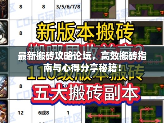 最新搬砖攻略论坛，高效搬砖指南与心得分享秘籍！
