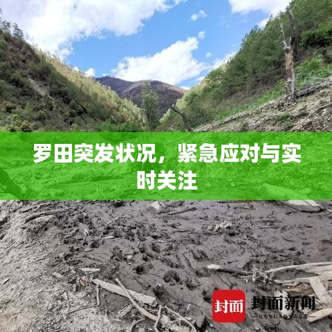罗田突发状况，紧急应对与实时关注