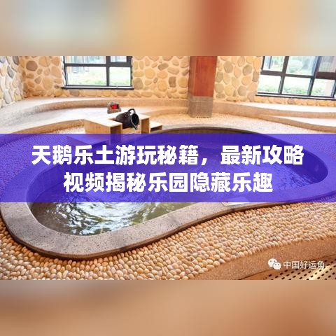 天鹅乐土游玩秘籍，最新攻略视频揭秘乐园隐藏乐趣