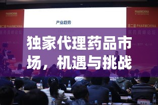独家代理药品市场，机遇与挑战的探索之路