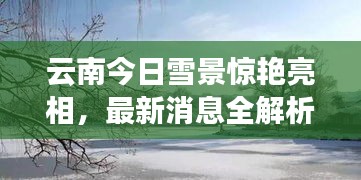 云南今日雪景惊艳亮相，最新消息全解析