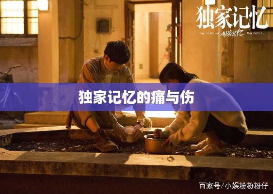 独家记忆的痛与伤