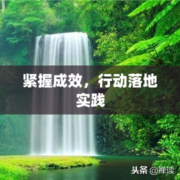 紧握成效，行动落地实践