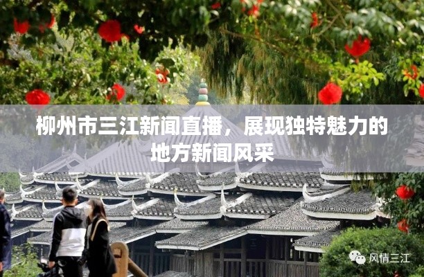 柳州市三江新闻直播，展现独特魅力的地方新闻风采