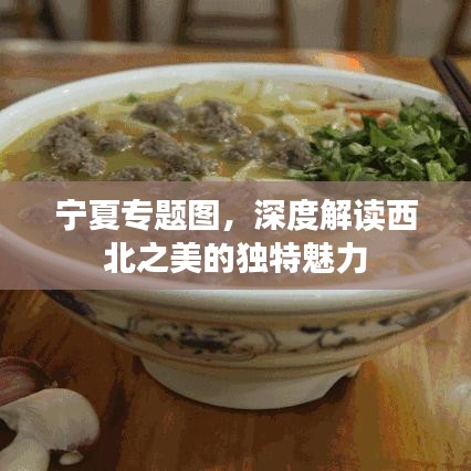 宁夏专题图，深度解读西北之美的独特魅力