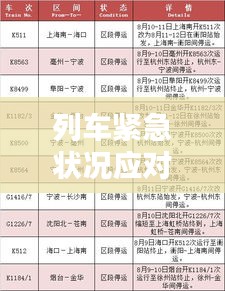 列车紧急状况应对，应急处理与预防措施的关键性探讨