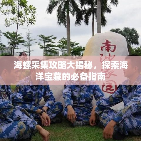 海螺采集攻略大揭秘，探索海洋宝藏的必备指南