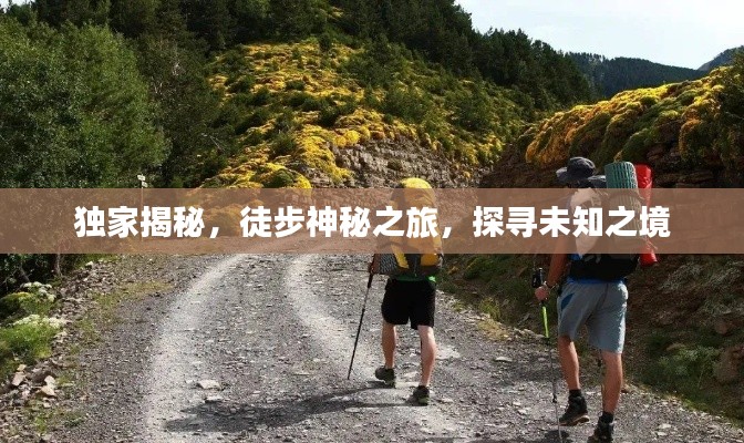 独家揭秘，徒步神秘之旅，探寻未知之境