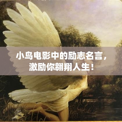 小鸟电影中的励志名言，激励你翱翔人生！