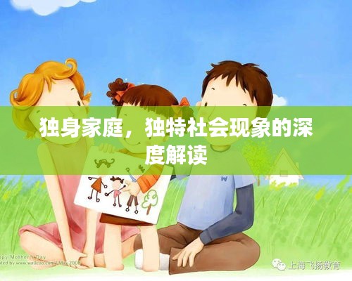 独身家庭，独特社会现象的深度解读