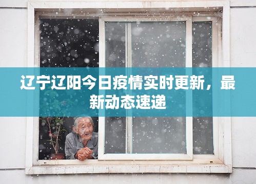 辽宁辽阳今日疫情实时更新，最新动态速递