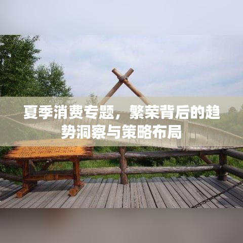 夏季消费专题，繁荣背后的趋势洞察与策略布局