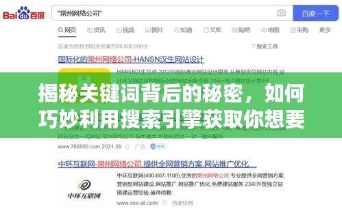 揭秘关键词背后的秘密，如何巧妙利用搜索引擎获取你想要的信息