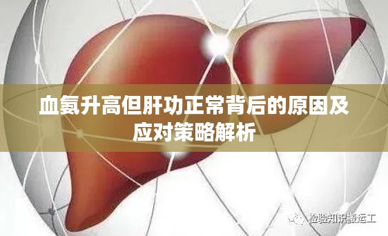 血氨升高但肝功正常背后的原因及应对策略解析