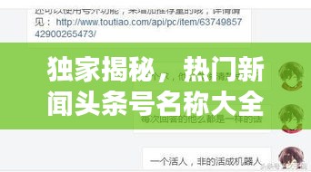 独家揭秘，热门新闻头条号名称大全，一网打尽！