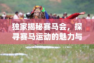 独家揭秘赛马会，探寻赛马运动的魅力与面临的挑战