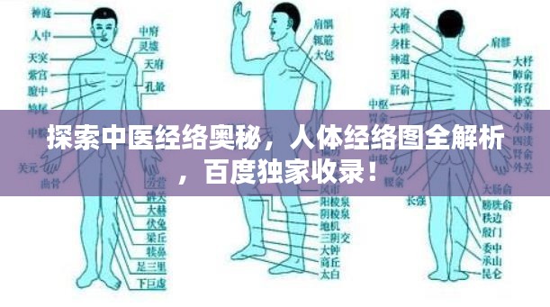 探索中医经络奥秘，人体经络图全解析，百度独家收录！
