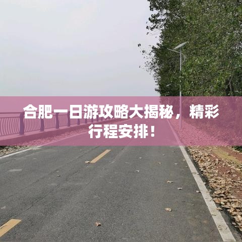 合肥一日游攻略大揭秘，精彩行程安排！