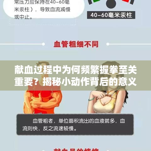 献血过程中为何频繁握拳至关重要？揭秘小动作背后的意义！