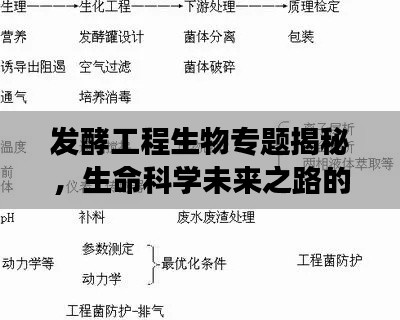 发酵工程生物专题揭秘，生命科学未来之路的探索之旅