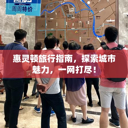 惠灵顿旅行指南，探索城市魅力，一网打尽！