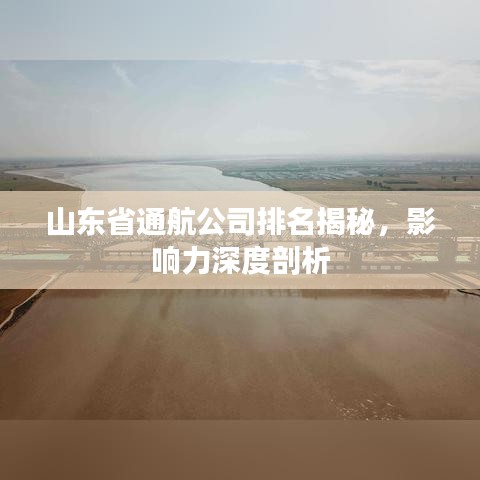 山东省通航公司排名揭秘，影响力深度剖析