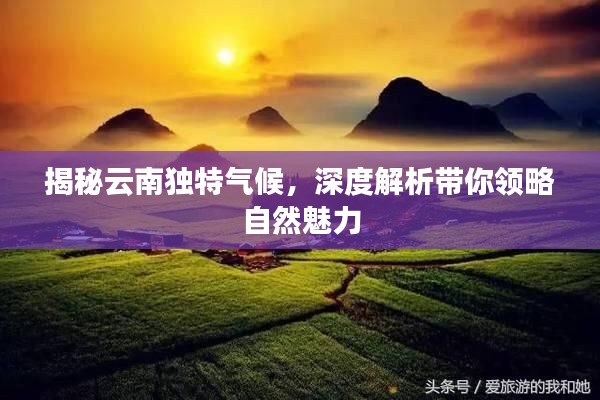 揭秘云南独特气候，深度解析带你领略自然魅力