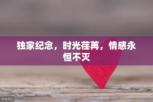 独家纪念，时光荏苒，情感永恒不灭