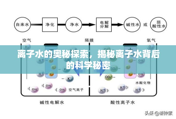 离子水的奥秘探索，揭秘离子水背后的科学秘密