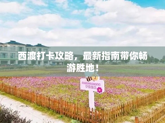 西渡打卡攻略，最新指南带你畅游胜地！