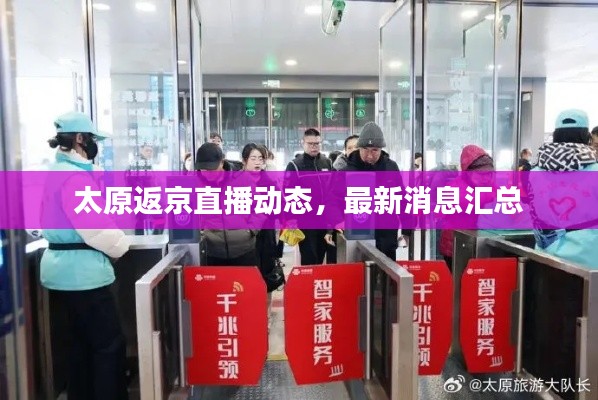 太原返京直播动态，最新消息汇总