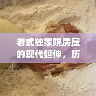 老式独家院房屋的现代延伸，历史记忆与当代生活的完美交融