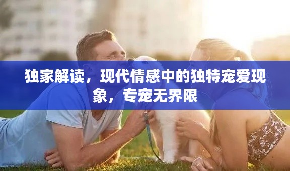 独家解读，现代情感中的独特宠爱现象，专宠无界限