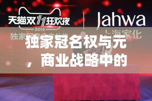 独家冠名权与元，商业战略中的核心要素揭秘