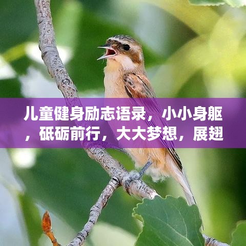 儿童健身励志语录，小小身躯，砥砺前行，大大梦想，展翅飞翔
