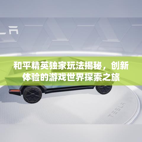 和平精英独家玩法揭秘，创新体验的游戏世界探索之旅