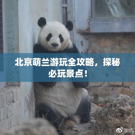 北京萌兰游玩全攻略，探秘必玩景点！